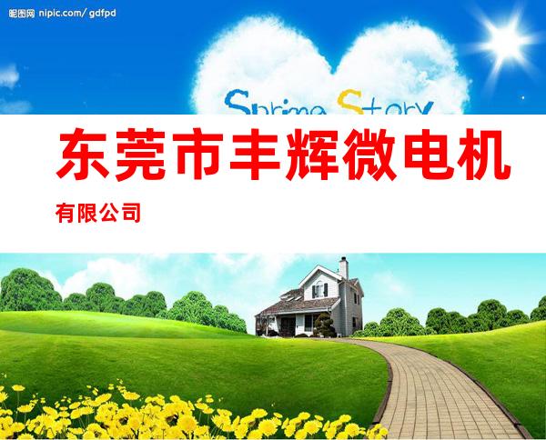 东莞市丰辉微电机有限公司