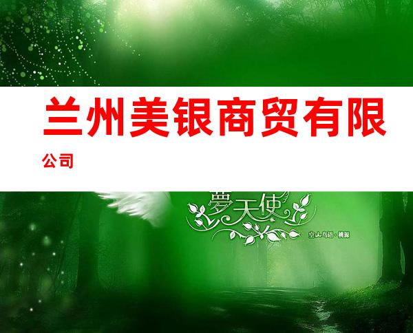 兰州美银商贸有限公司