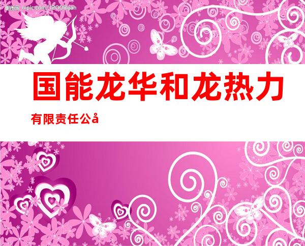 国能龙华和龙热力有限责任公司