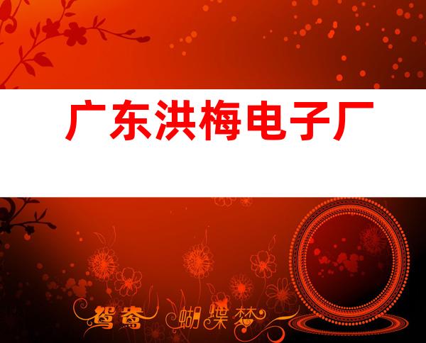 广东洪梅电子厂