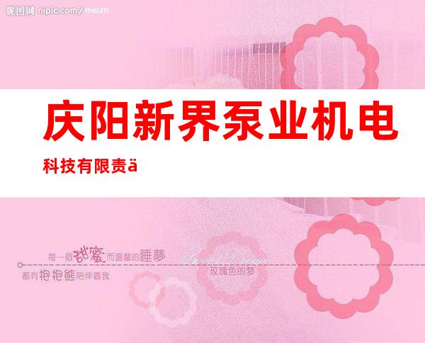 庆阳新界泵业机电科技有限责任公司