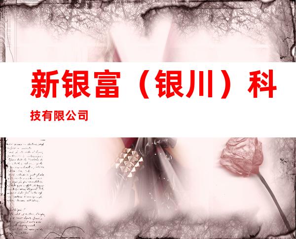 新银富（银川）科技有限公司