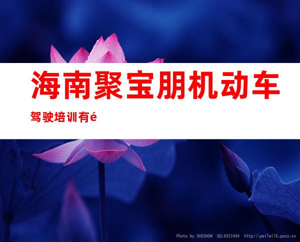 海南聚宝朋机动车驾驶培训有限公司