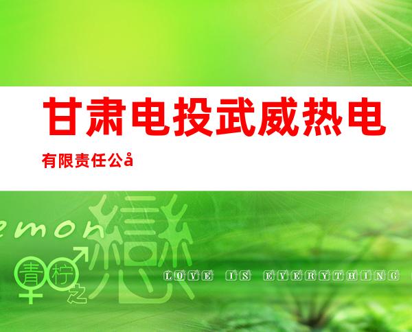 甘肃电投武威热电有限责任公司