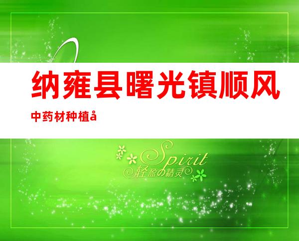 纳雍县曙光镇顺风中药材种植基地