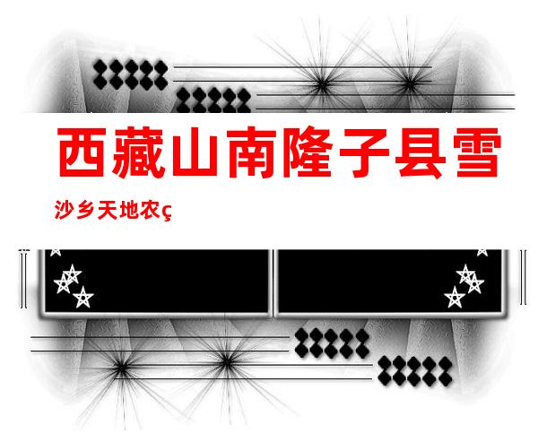 西藏山南隆子县雪沙乡天地农牧民施工队