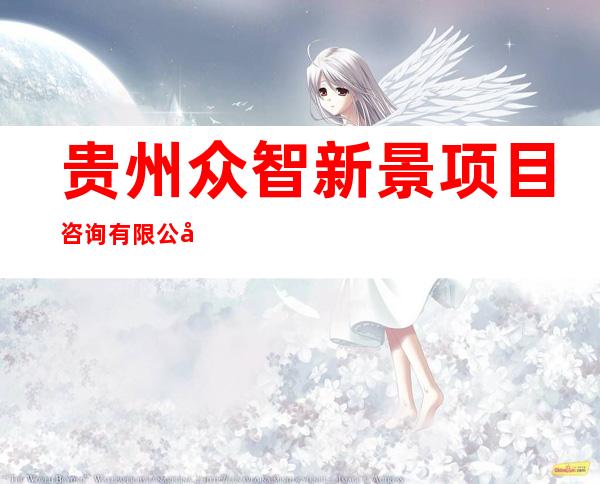 贵州众智新景项目咨询有限公司