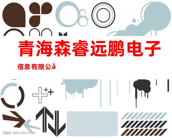 青海森睿远鹏电子信息有限公司