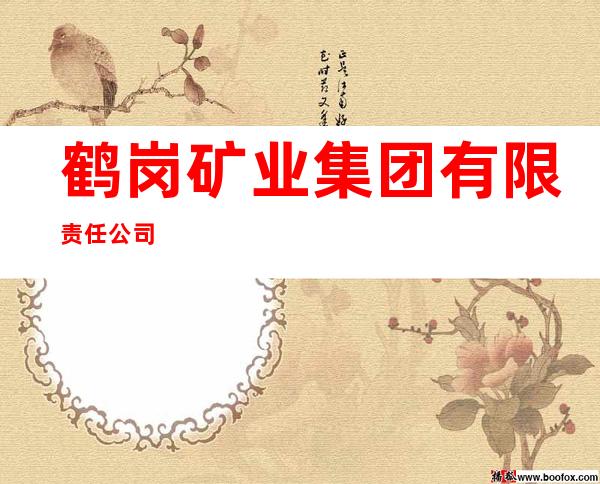 鹤岗矿业集团有限责任公司